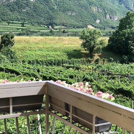 Affittacamere Vignola 아비오 외부 사진